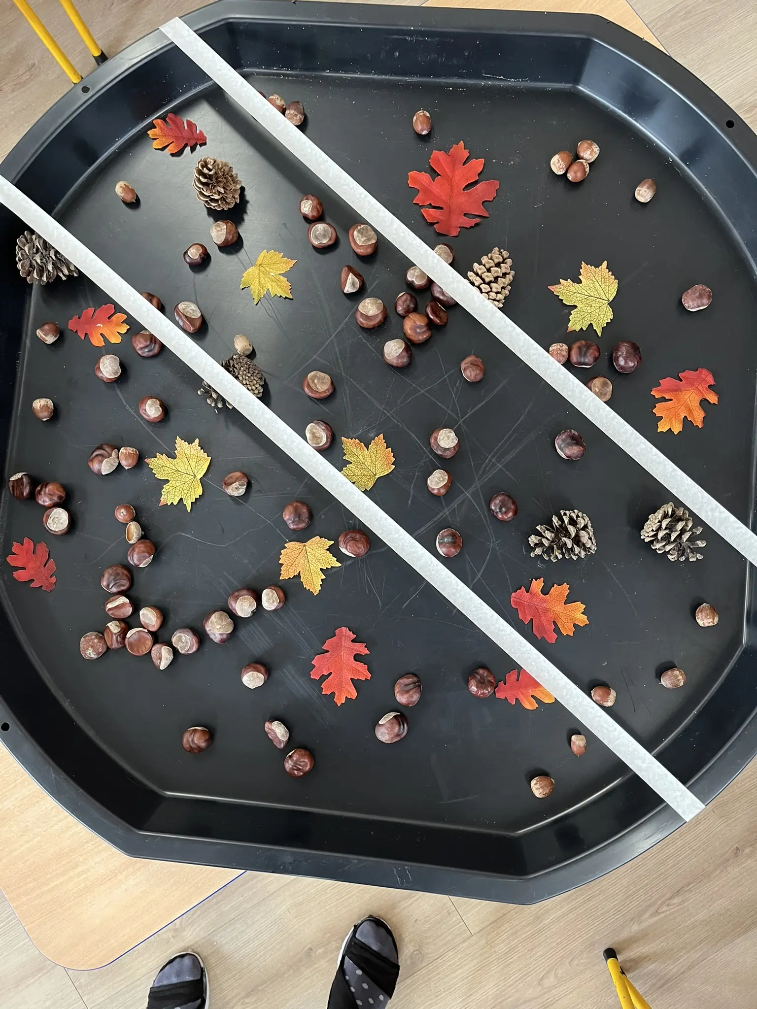 Naturschätze liegen auf einem Tablett unter einem Netz aus Kreppstreifen