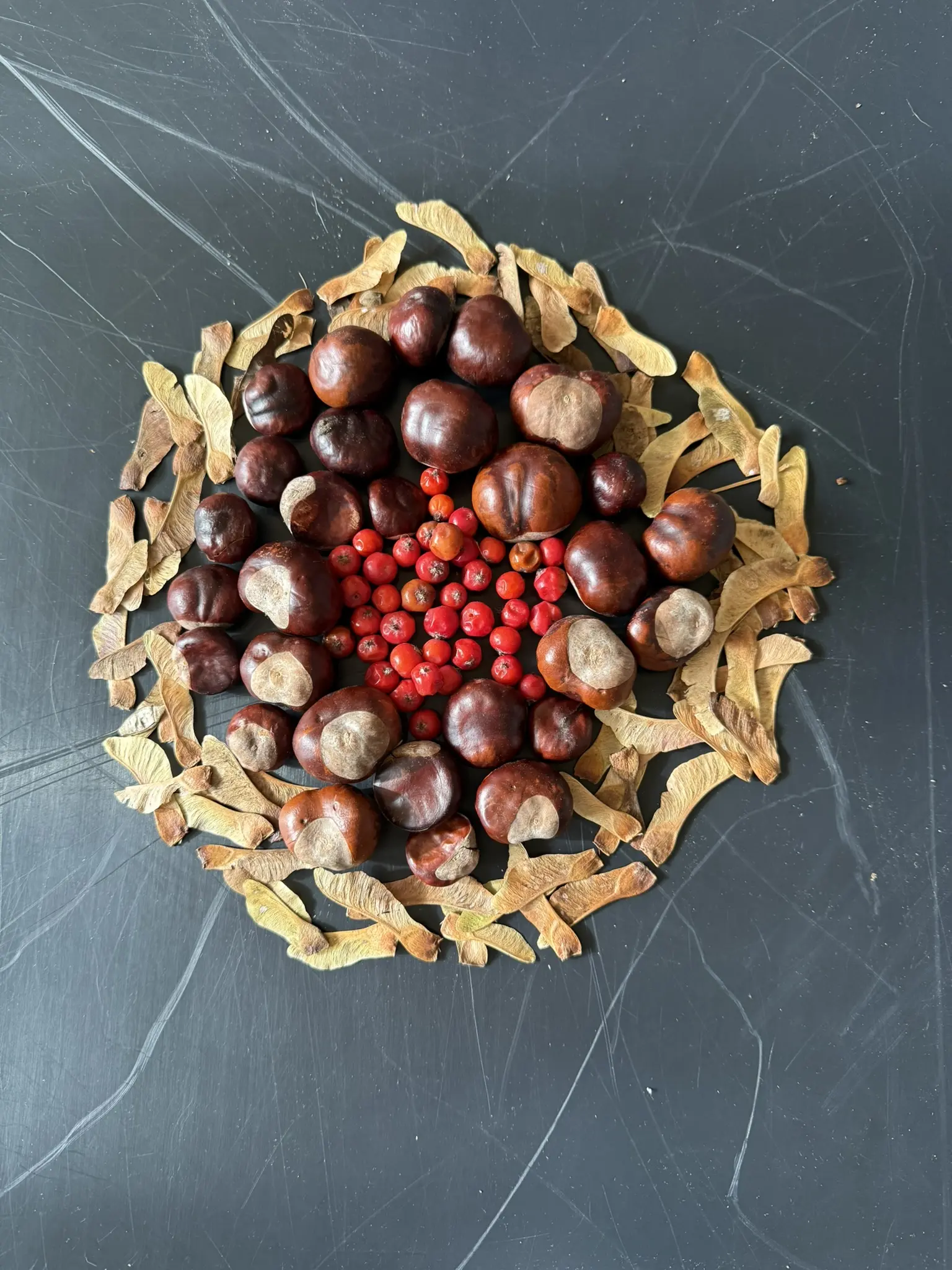 Aus Herbstmaterialien entsteht Schritt für Schritt ein Mandala