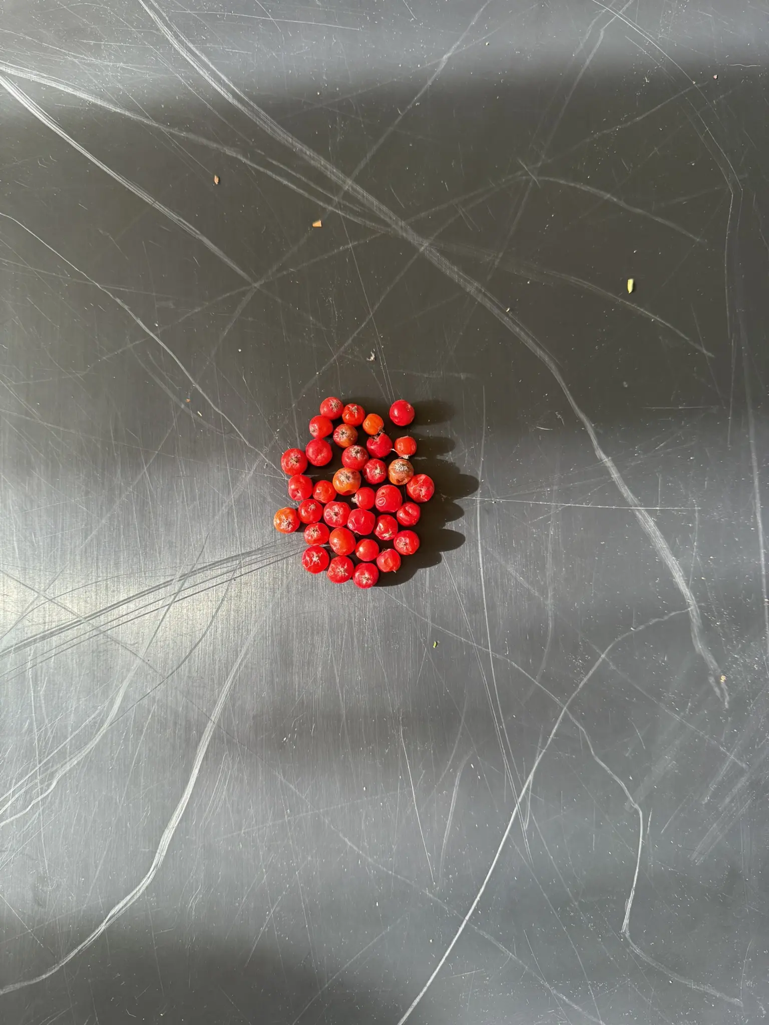 Aus Herbstmaterialien entsteht Schritt für Schritt ein Mandala