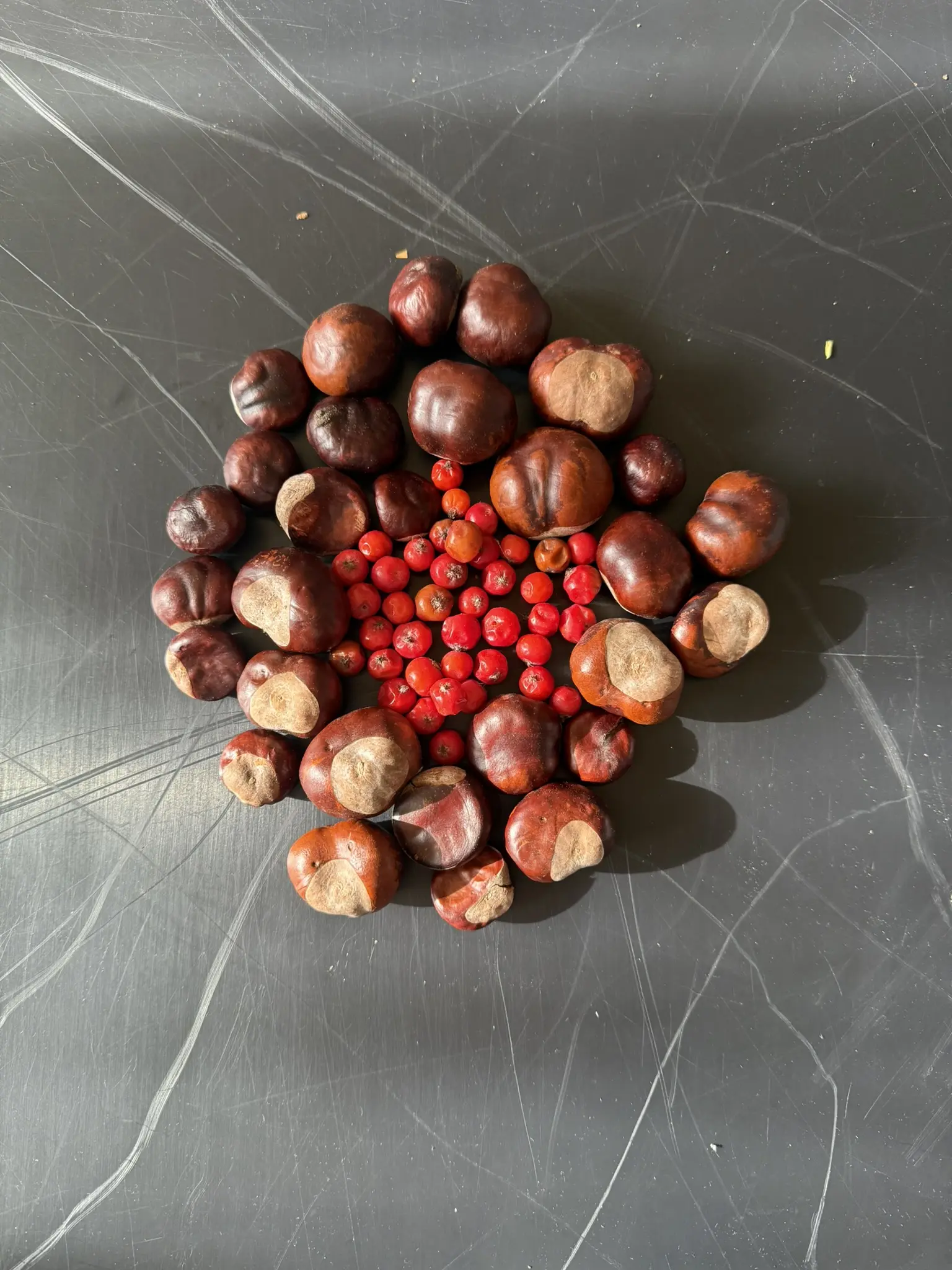 Aus Herbstmaterialien entsteht Schritt für Schritt ein Mandala