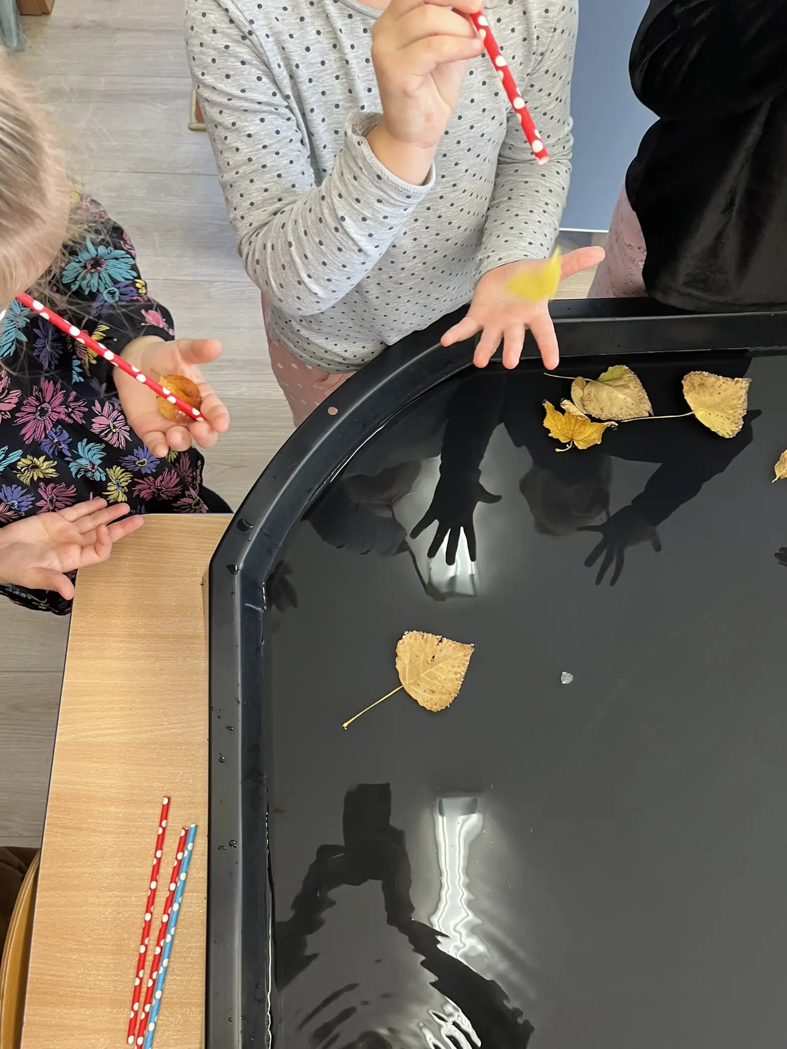Kinder pusten Laubblätter mit Strohhalmen auf dem Wasser hin und her