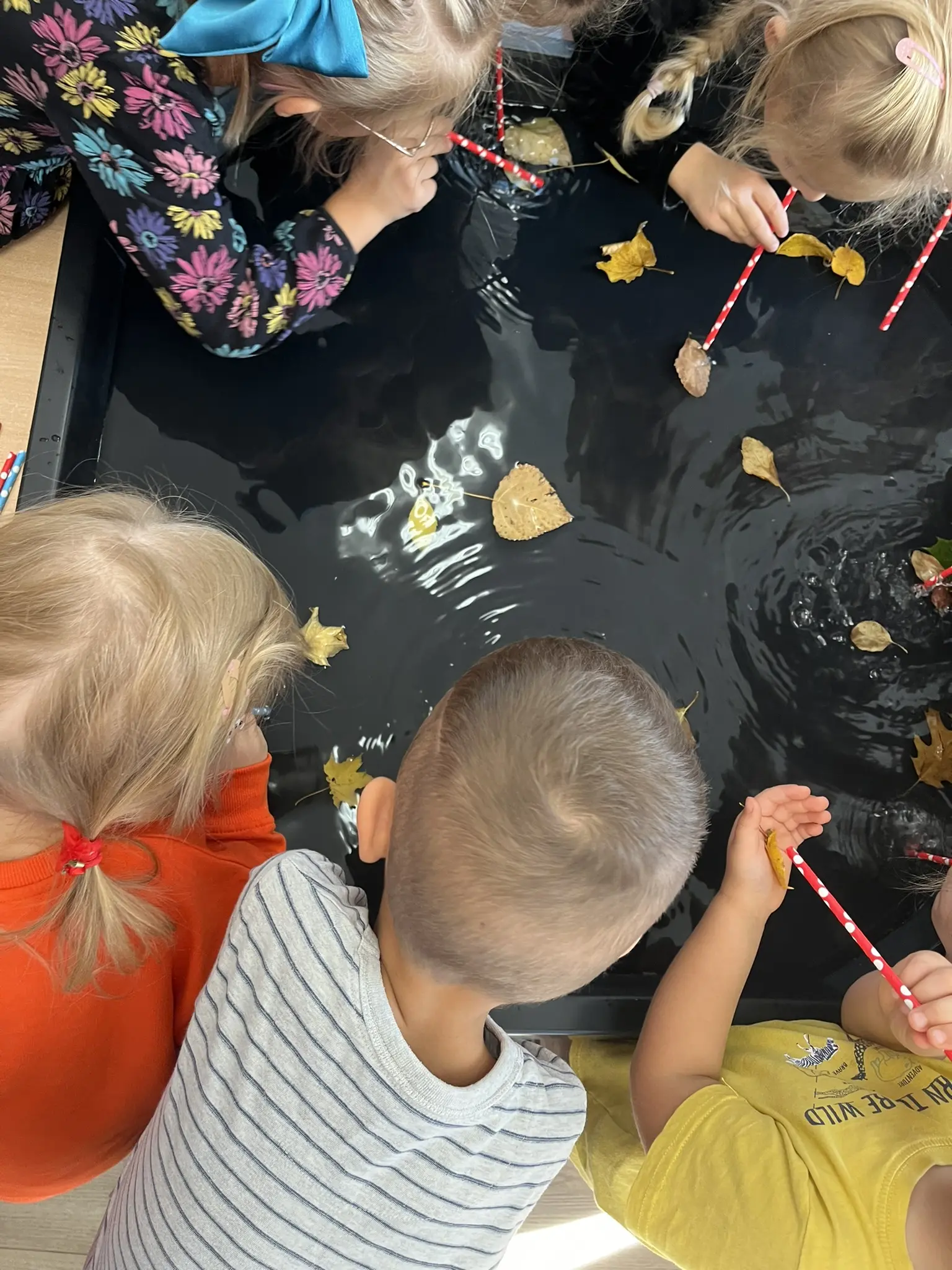 Kinder pusten Laubblätter mit Strohhalmen auf dem Wasser hin und her
