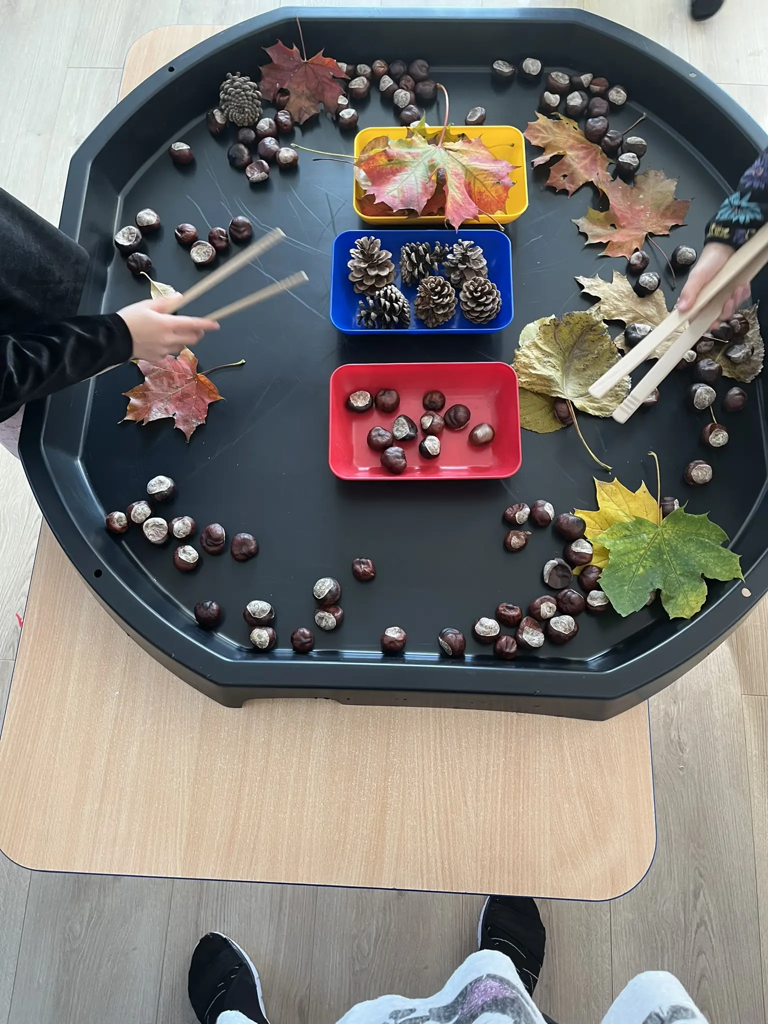 Kinder sortieren mit Zangen Nüsse und Beeren in verschiedene Behälter