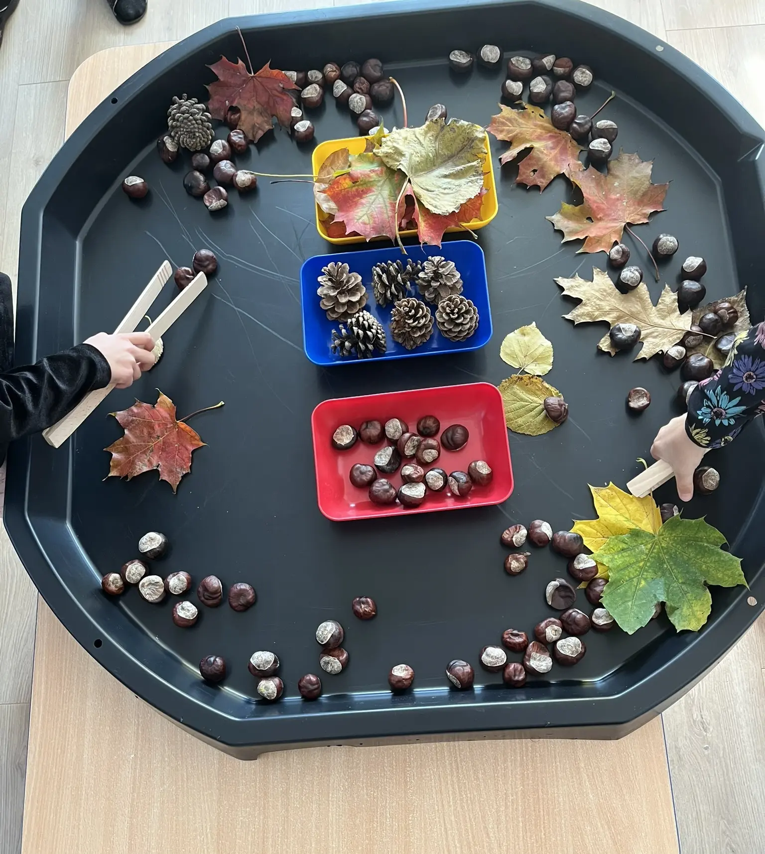 Kinder sortieren mit Zangen Nüsse und Beeren in verschiedene Behälter