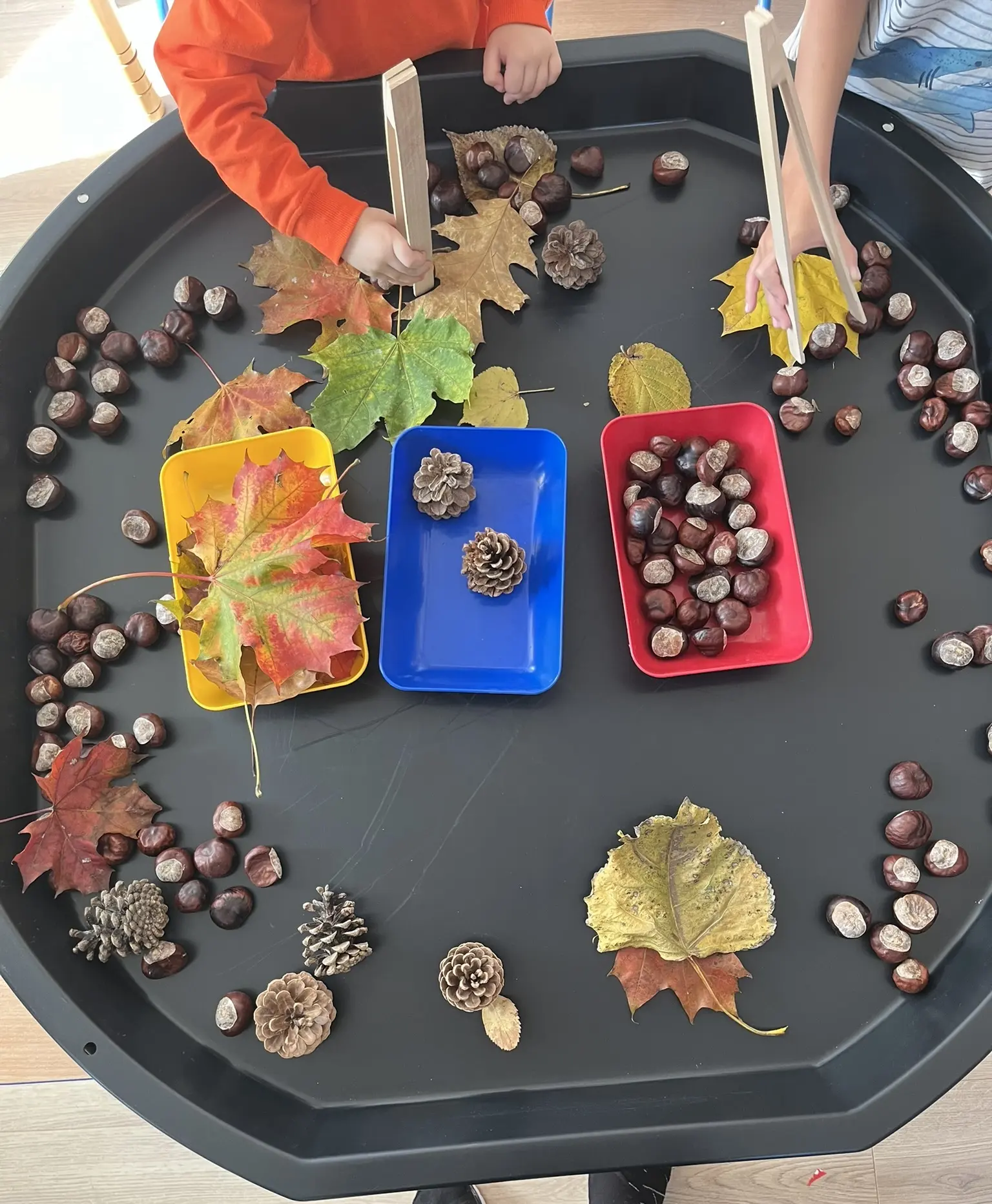Kinder sortieren mit Zangen Nüsse und Beeren in verschiedene Behälter